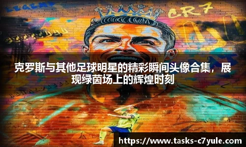 克罗斯与其他足球明星的精彩瞬间头像合集，展现绿茵场上的辉煌时刻